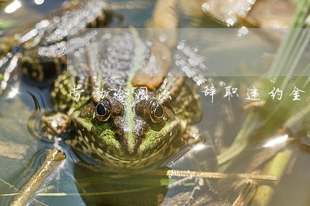 劳动合同法 辞职违约金 劳动合同法 辞职违约金